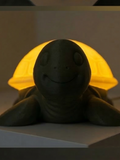 Turtle lamp
