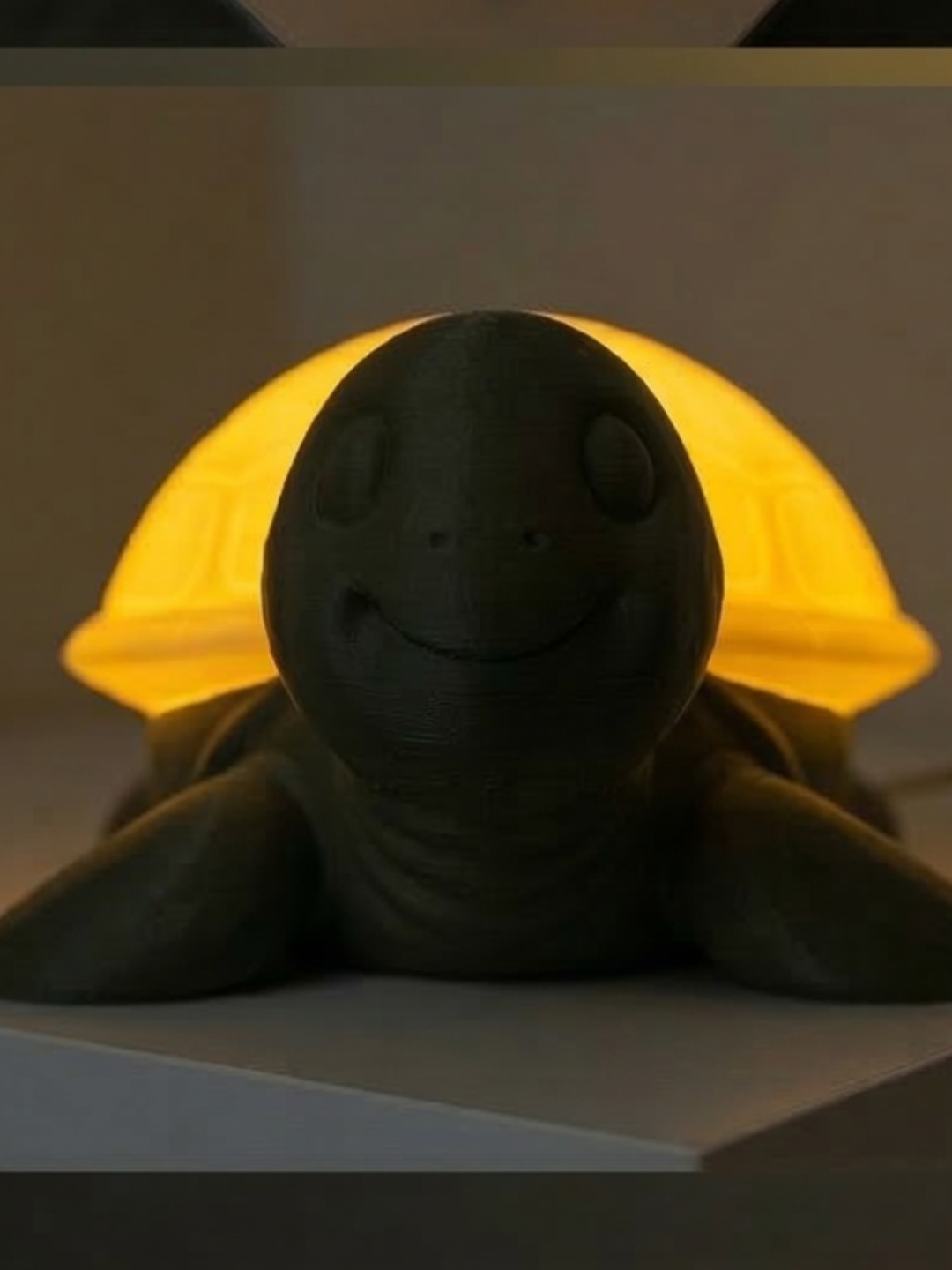 Turtle lamp