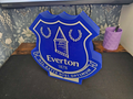 EFC light box